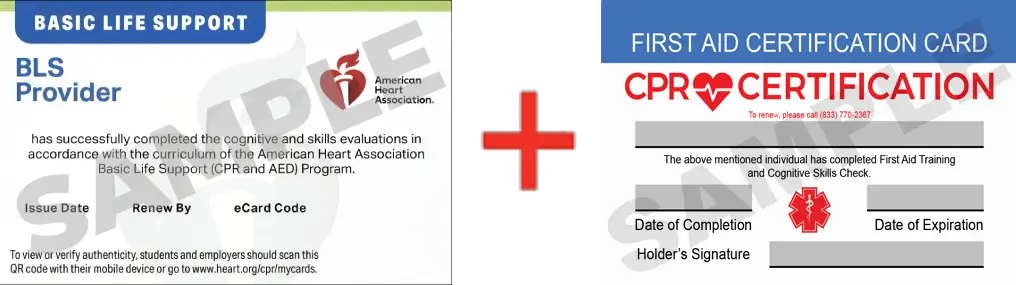 Sample American Heart Association AHA BLS CPR Card Certification and First Aid Certification Card from CPR Certification White Plains