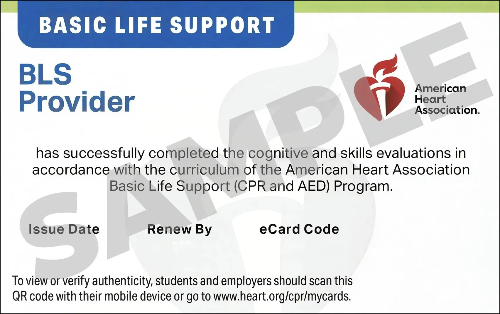 Sample American Heart Association AHA BLS CPR Card Certification from CPR Certification White Plains